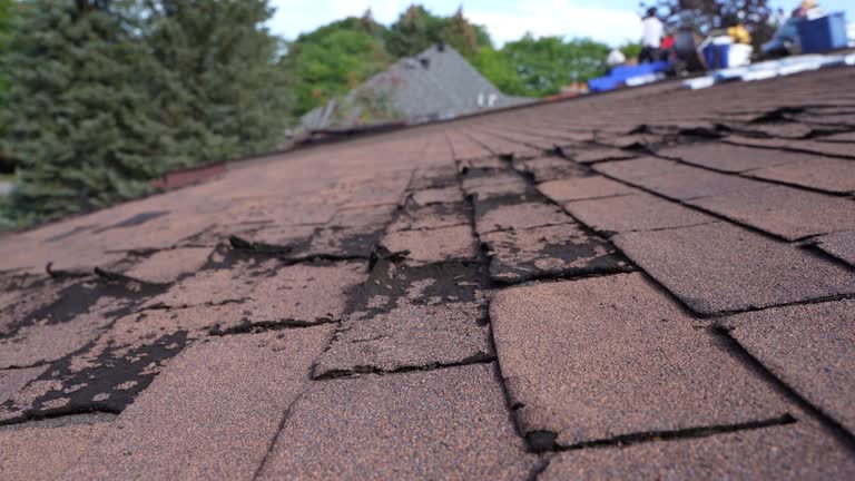 Best Rubber Roofing (EPDM, TPO)  in Reedurban, OH