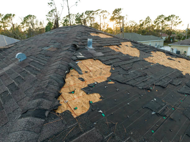 Best Roof Insulation Installation  in Reedurban, OH